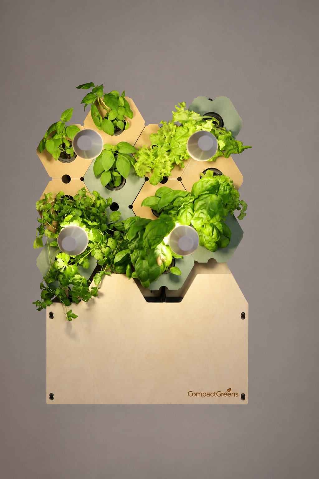 Green Wall "Oasis"
