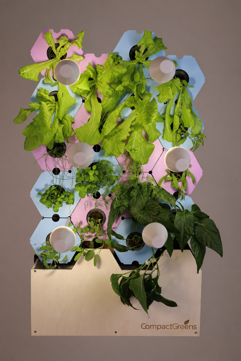 Green Wall "Garden"