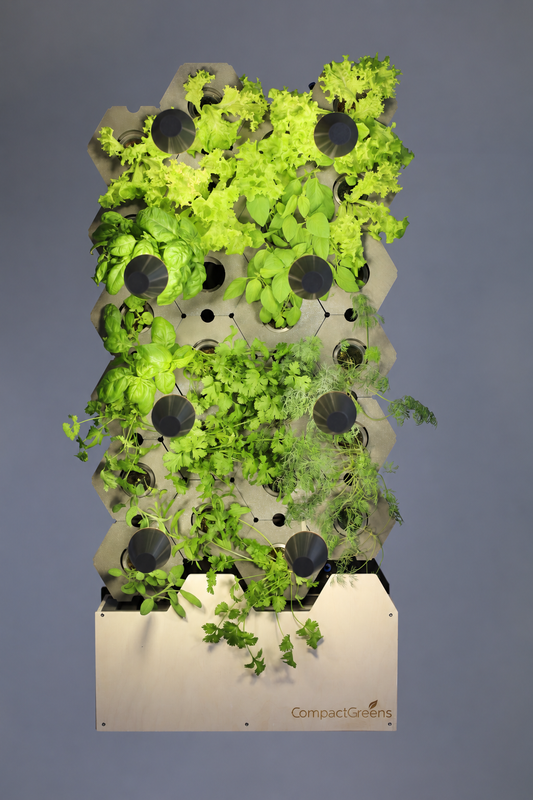 Green Wall "Harvest"